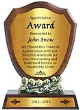 AWD-01 - Recognition Award