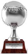 AWD-03 - Baseball Silver Award